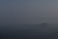Brume matinale sur Bandipur