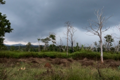 Orage sur Bandipur